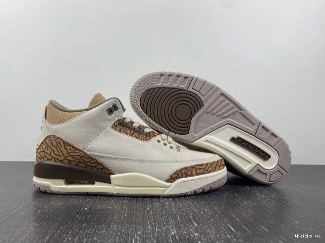 Reps TB Jordan 3 CT8532-102 Air Palomino 0724